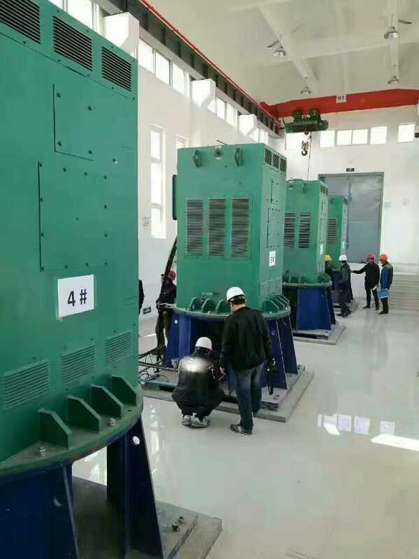 湛江某污水处理厂使用我厂的立式高压电机安装现场